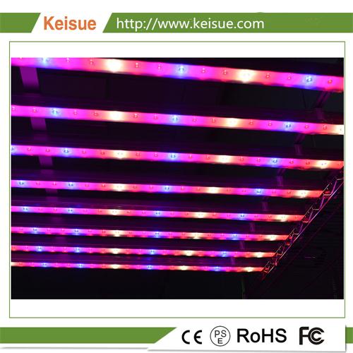 Keisue鋁制照明燈架 KES-GL-025，應用于種植工廠，溫室，室內種植