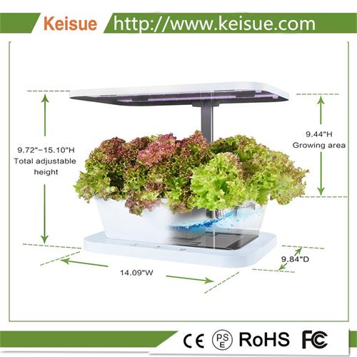 Keisue水培小花園 KES3.0 以及LED植物生長燈。