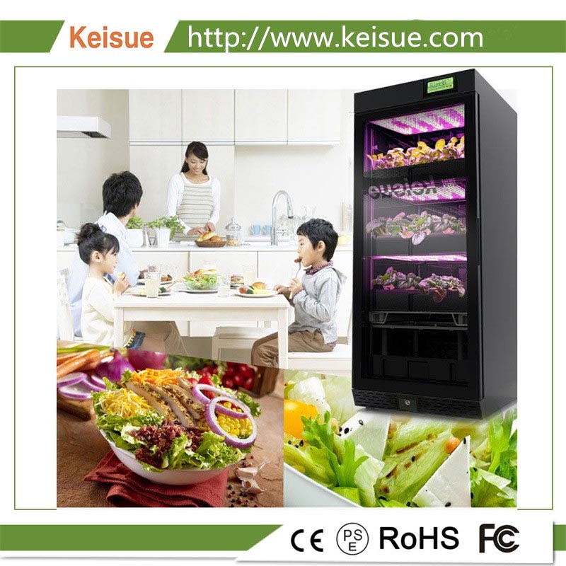 Keisue智能水培種菜機、家庭垂直農場 KES1.0