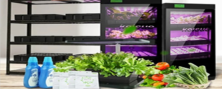 琪樹家庭水培垂直農場