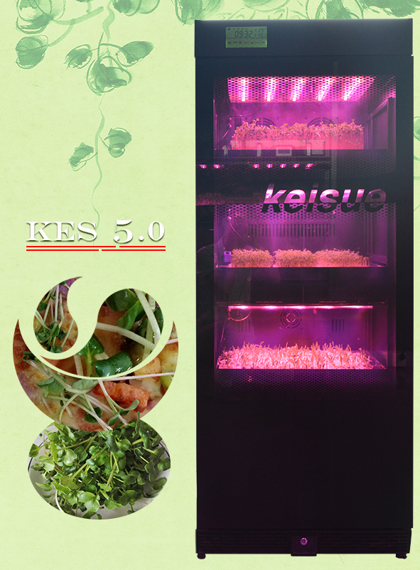 Keisue家用垂直農場KES5.0，用于種植微型苗菜